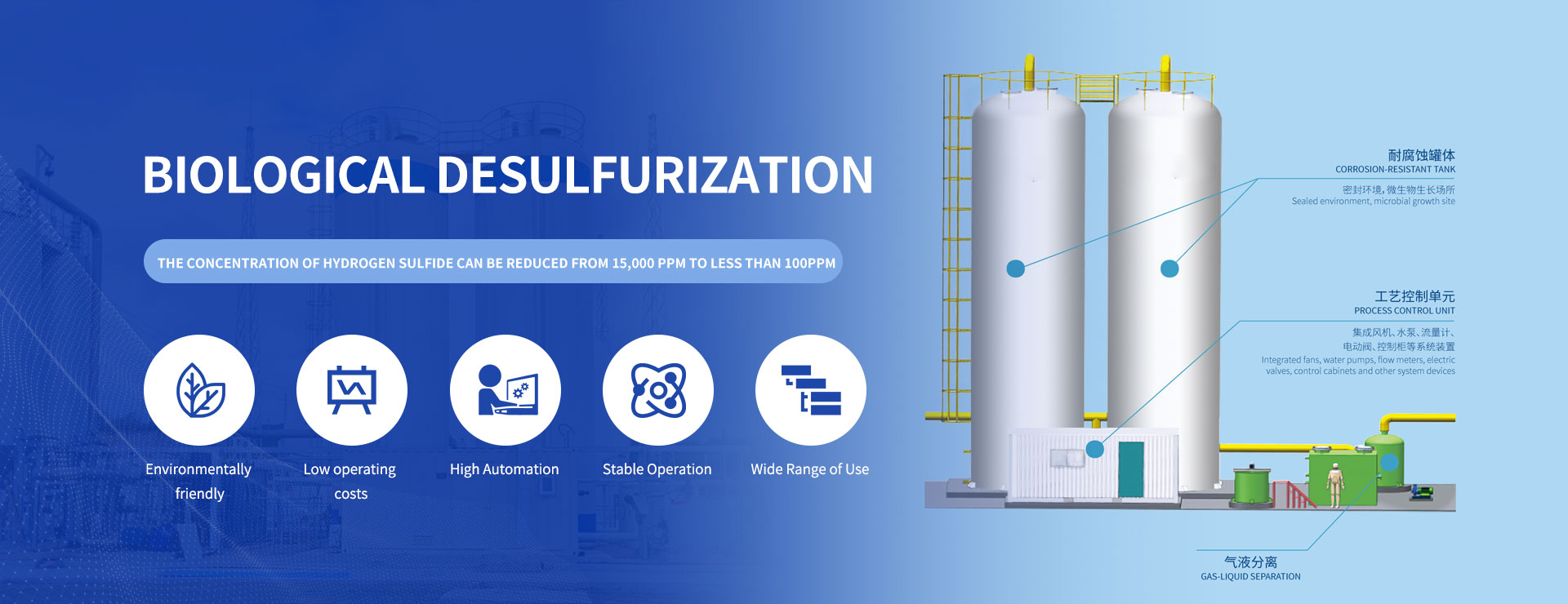 Biological desulfurization